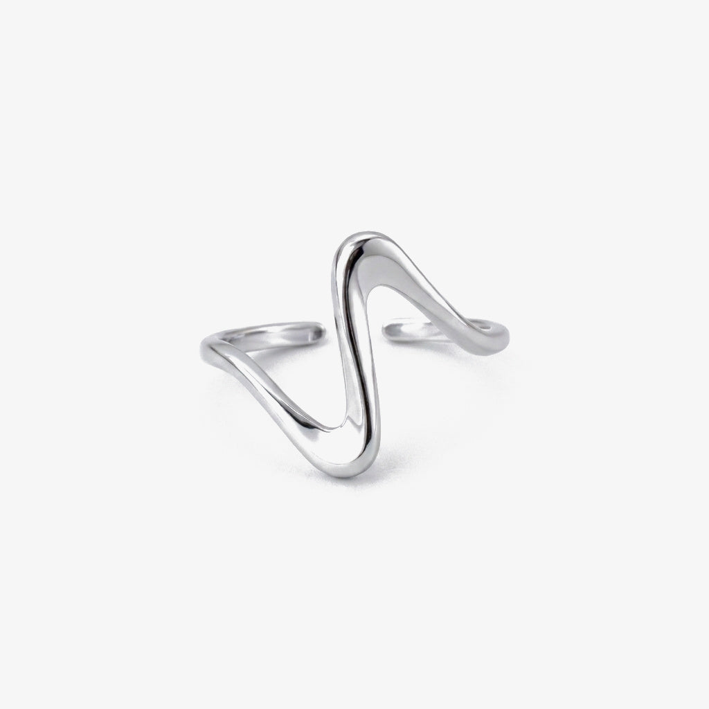 Anillo Flujo del Mar